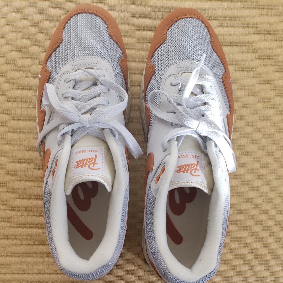 Patta × Nike Air Max 1 "Monarch"