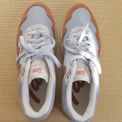 Patta × Nike Air Max 1 "Monarch"