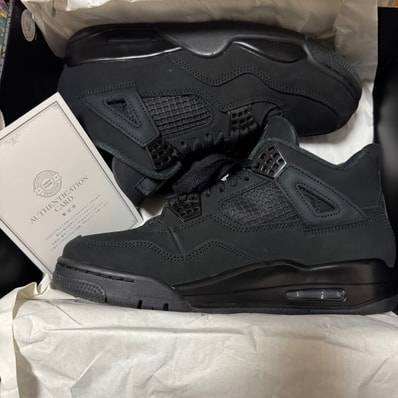 Nike Air Jordan 4 Retro OG "Black Cat" (2025)