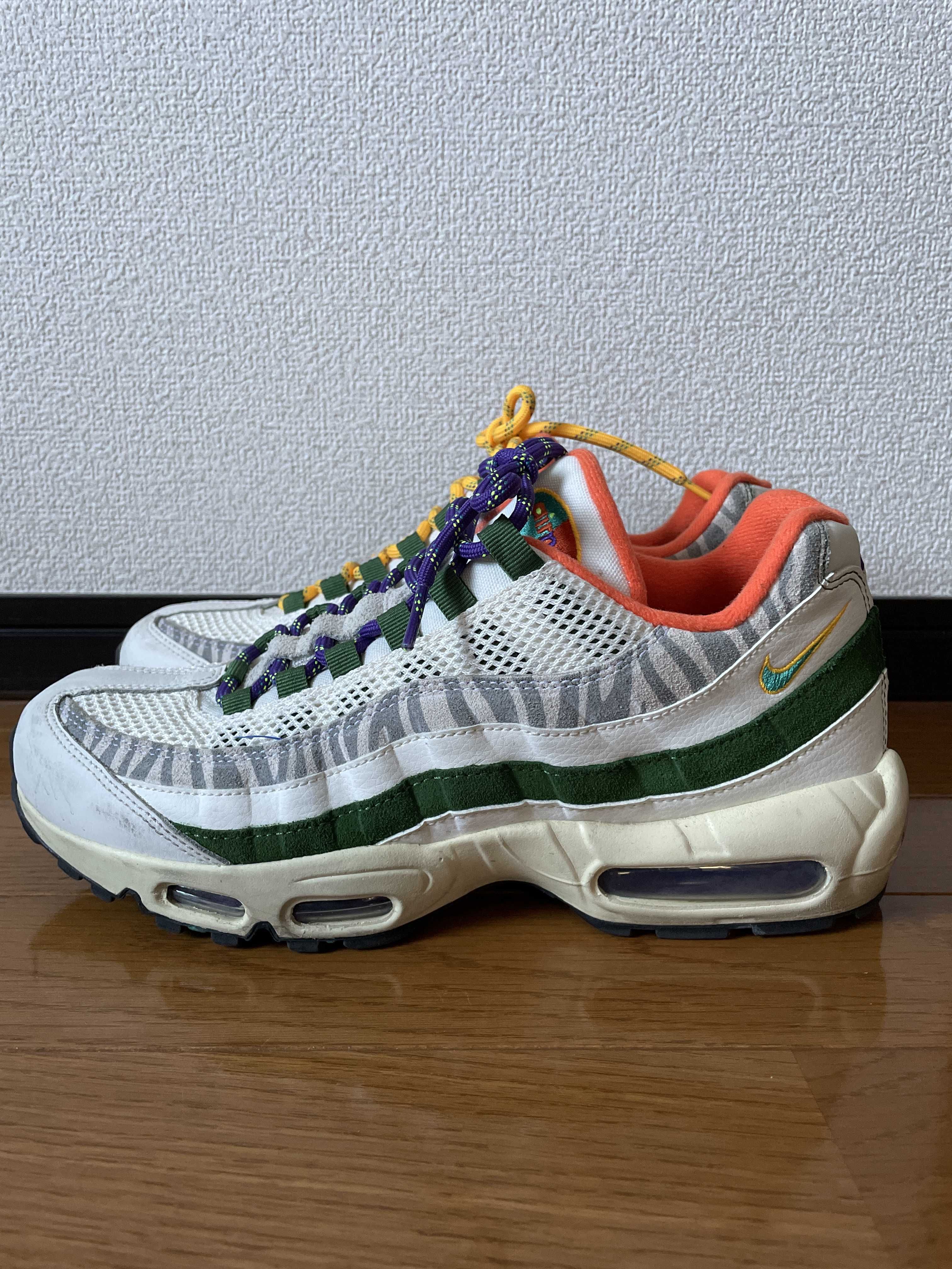 Nike Air Max 95 "ERA"