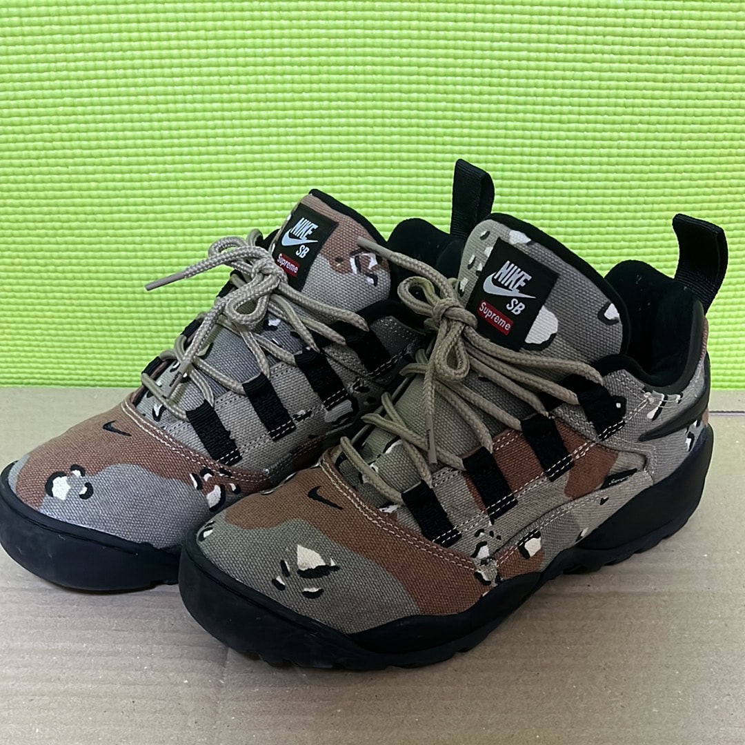 Supreme × Nike SB Darwin Low "Desert Camo"