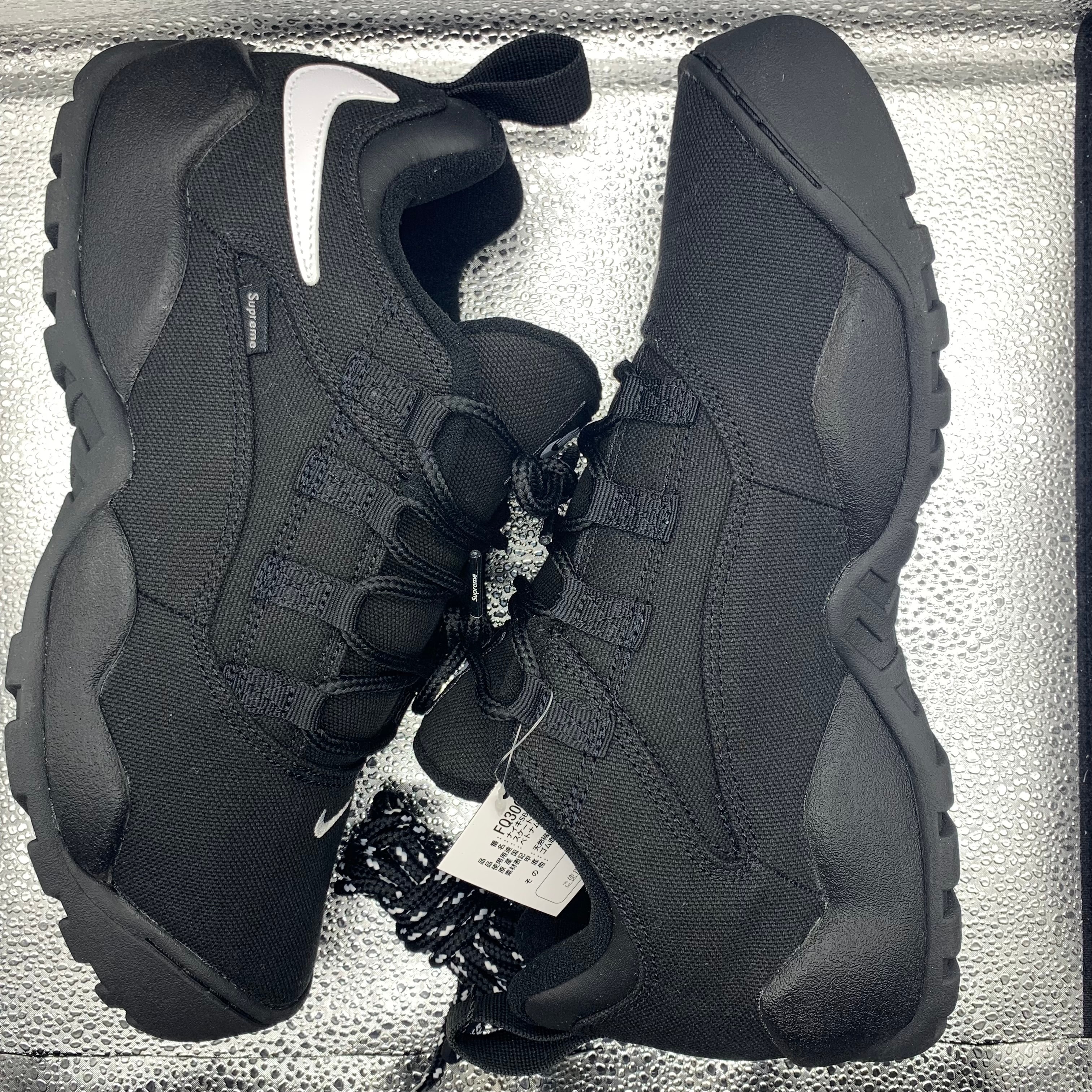 Supreme × Nike SB Darwin Low "Black"