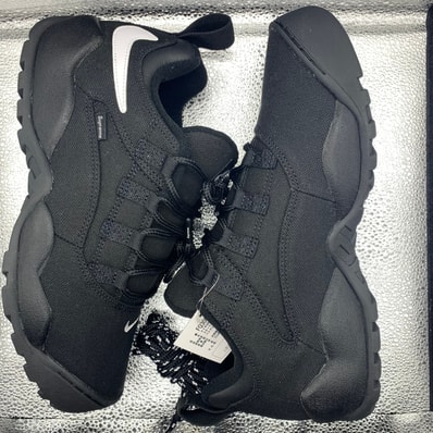 Supreme × Nike SB Darwin Low "Black"