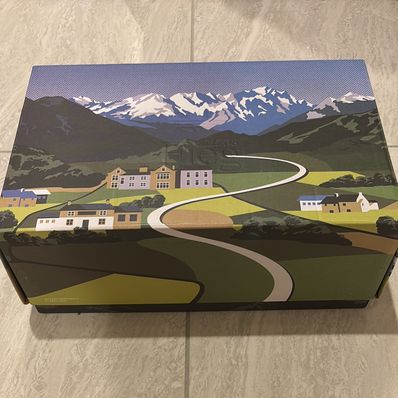 Ronnie Fieg × Clarks × adidas Samba "White/Green"