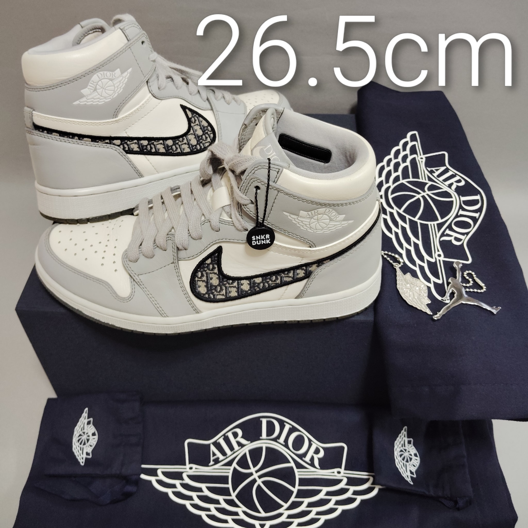 Dior × Nike Air Jordan 1 High OG "Wolf Grey"