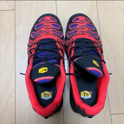 Nike Air Max Plus Drift "All Day"