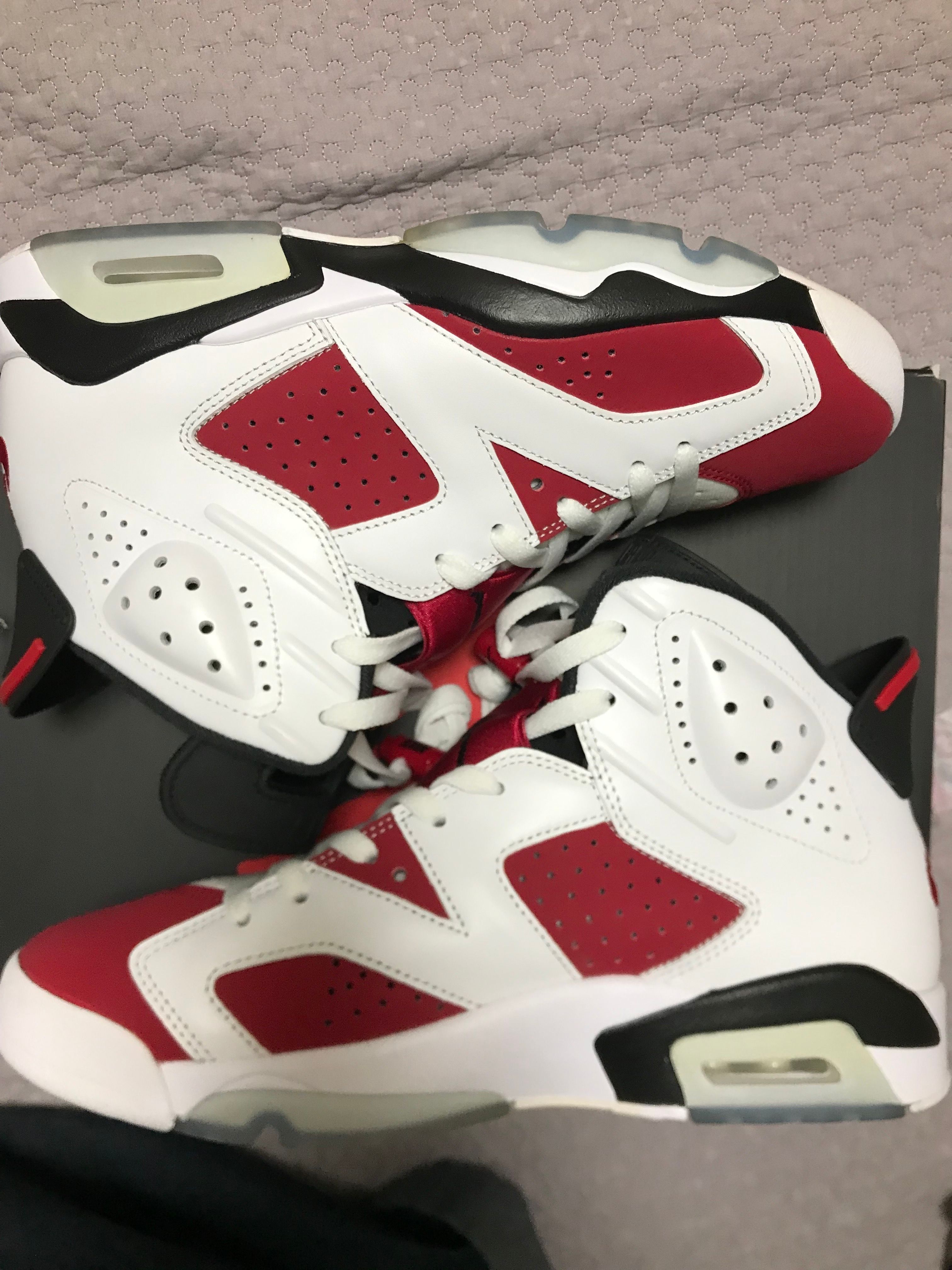 Nike Air Jordan 6 "Carmine" (2021)