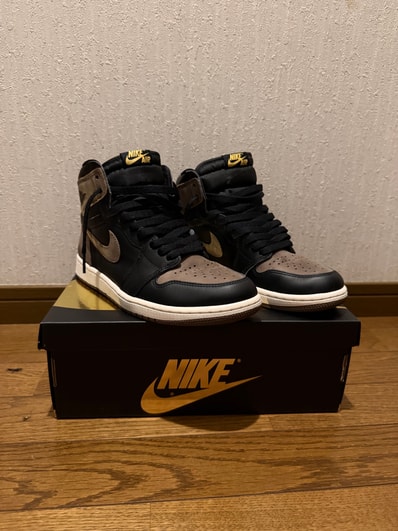 Nike Air Jordan 1 Retro High OG "Palomino"