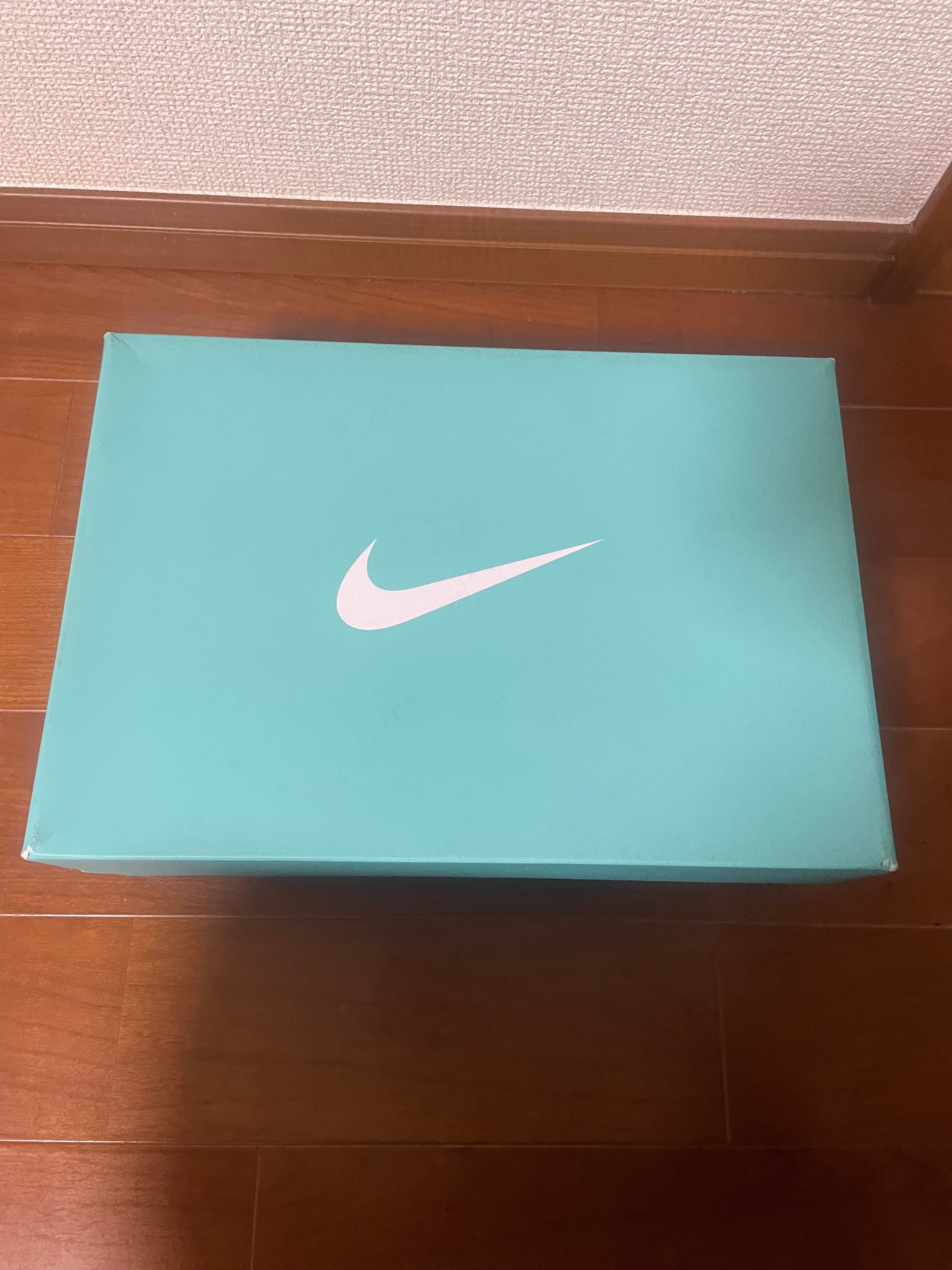 Tiffany & Co. × Nike Air Force 1 Low "1837"