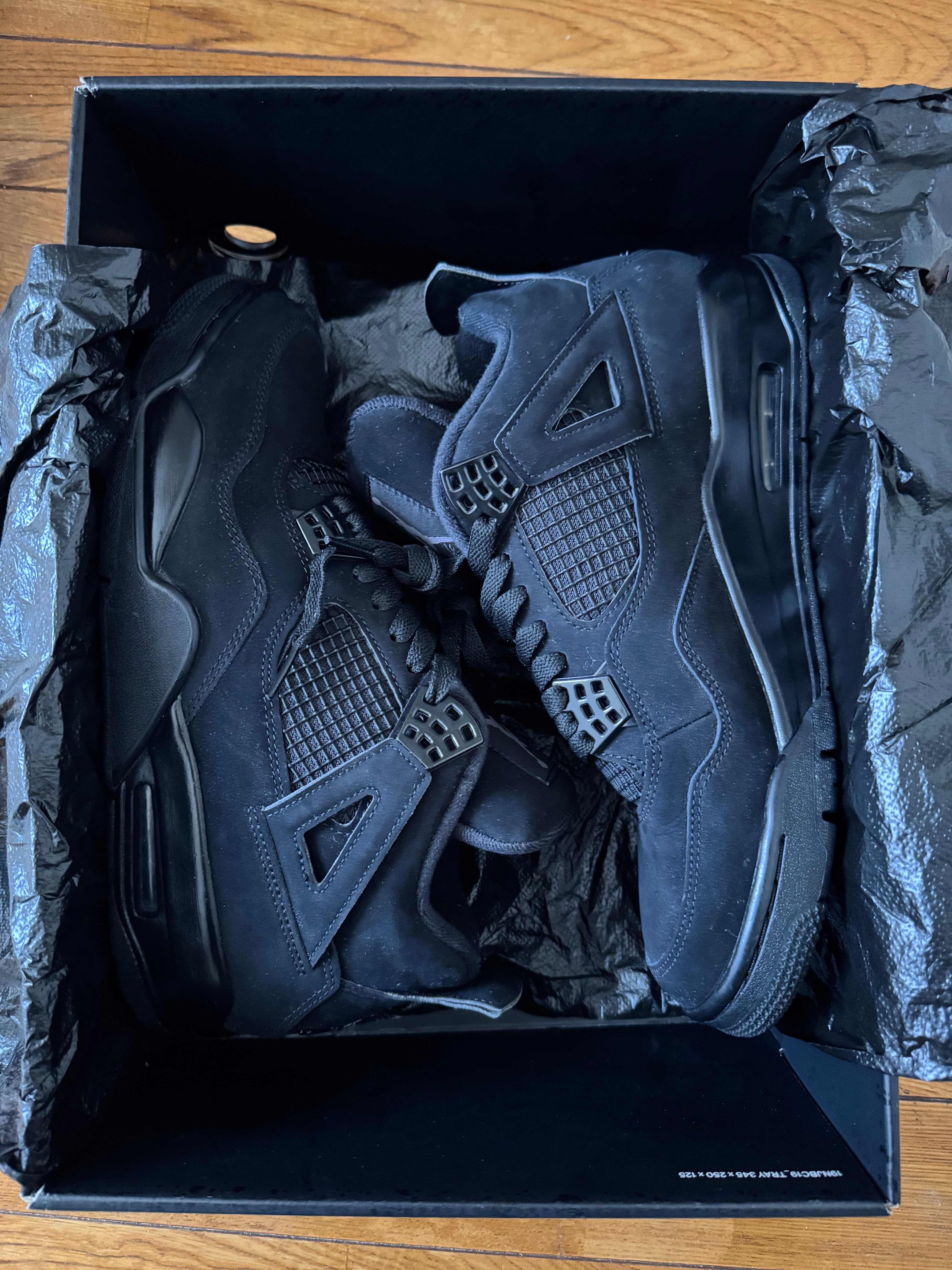 Nike Air Jordan 4 "Black Cat"