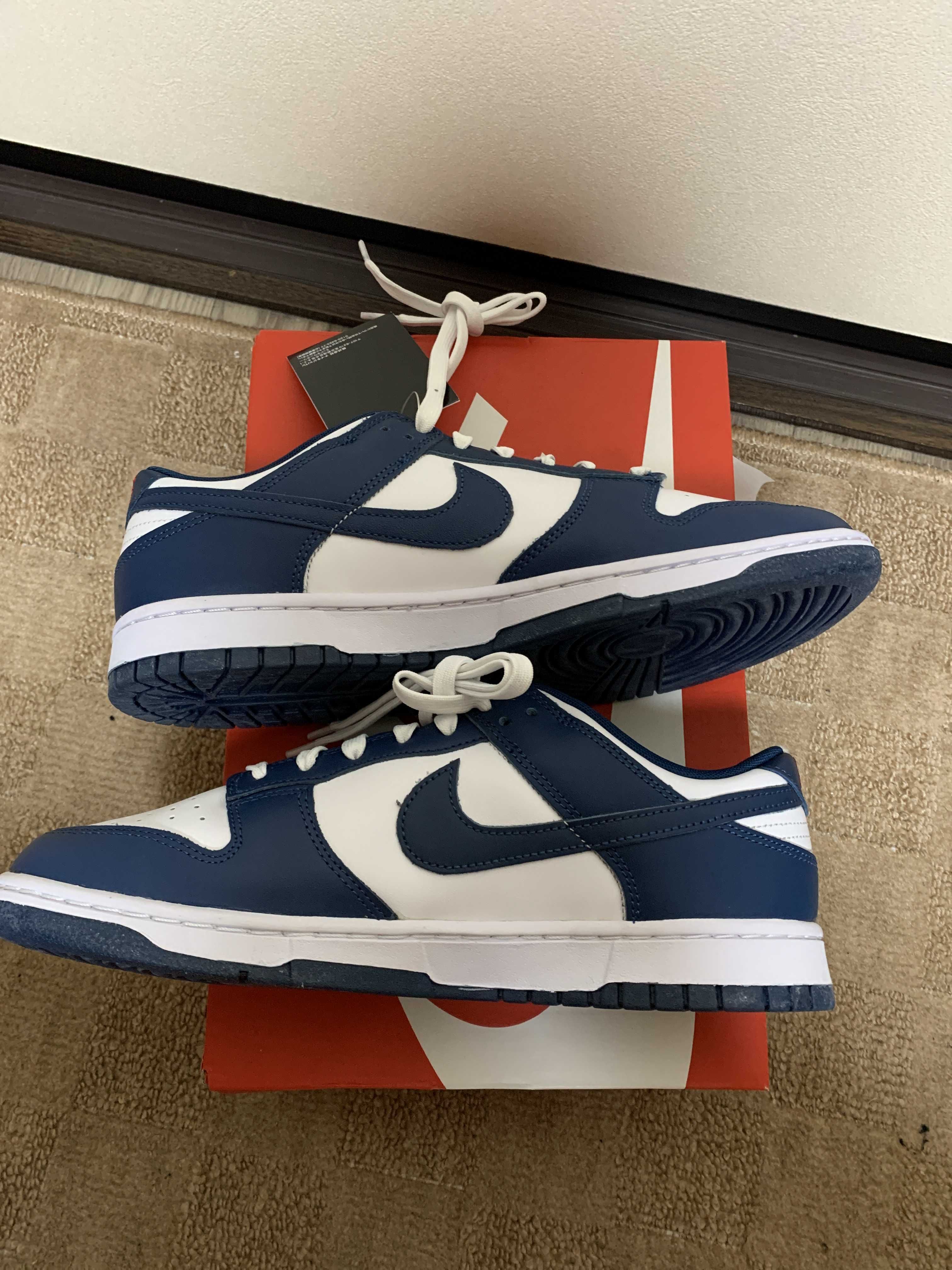 Nike Dunk Low "Valerian Blue"