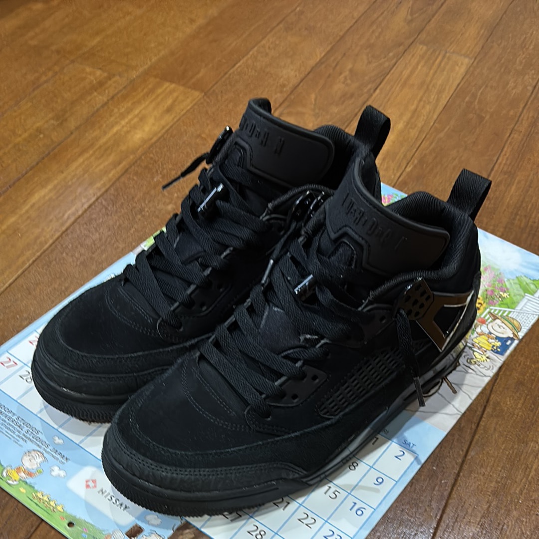 Nike Jordan Spizike Low "Black Cat"