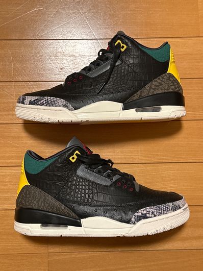 Nike Air Jordan 3 Retro SE "Animal Instinct 2.0/Safari"