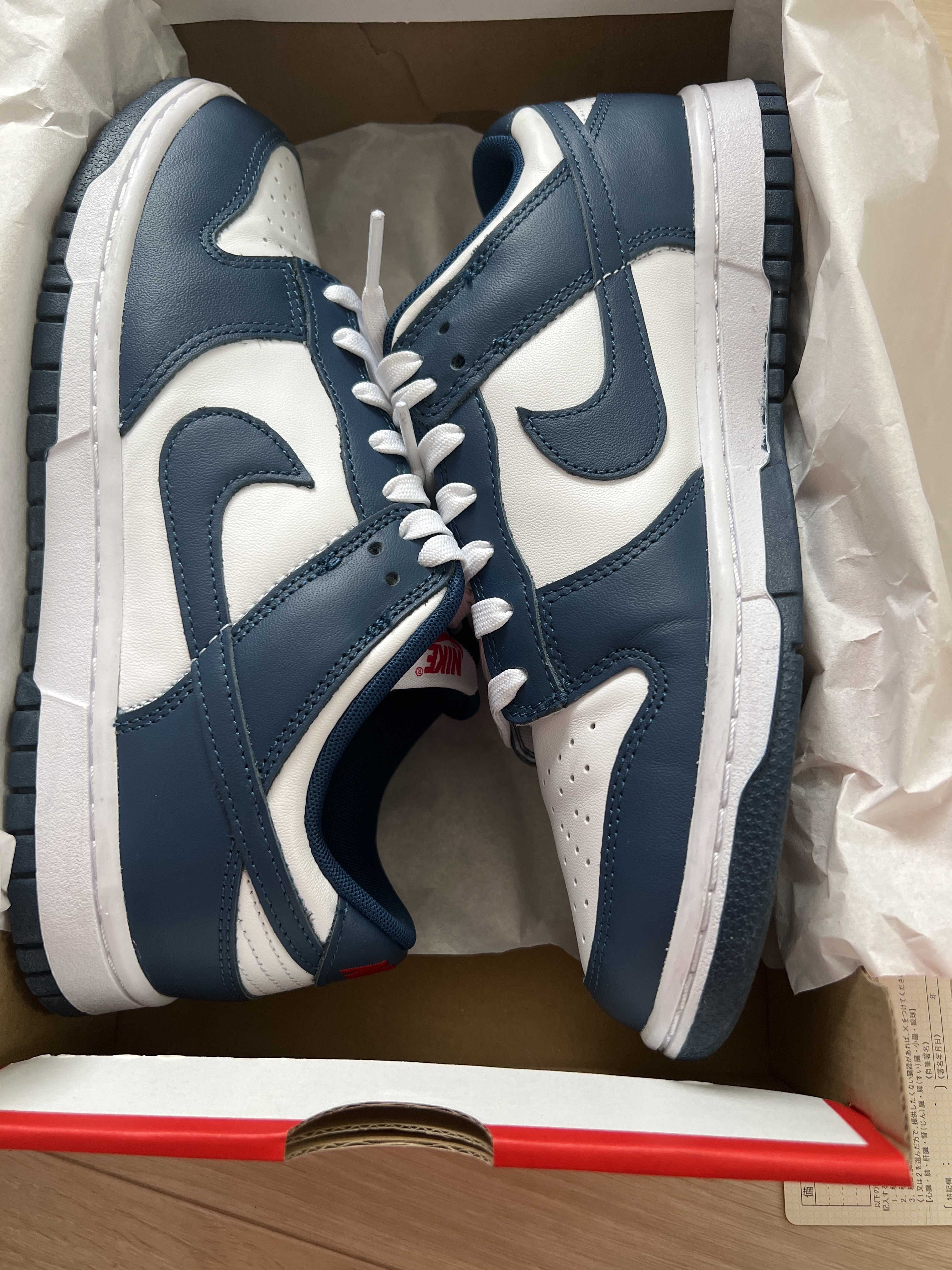 Nike Dunk Low "Valerian Blue"