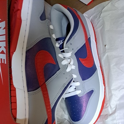 Nike Dunk Low "Samba"