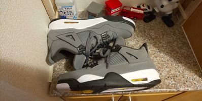 Nike Air Jordan 4 "Cool Grey"