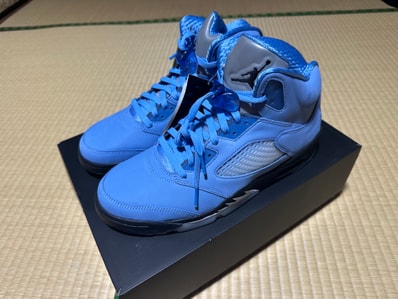 Nike Air Jordan 5 Retro SE "University Blue"
