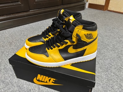 Nike Air Jordan 1 High OG "Pollen"