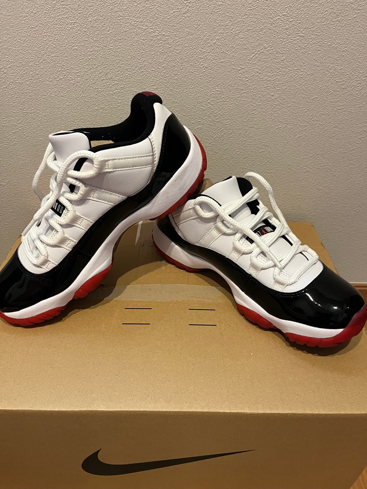 Nike Air Jordan 11 Low 