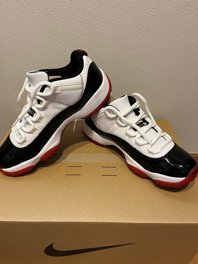 Nike Air Jordan 11 Low Nike Air Jordan 11 Low