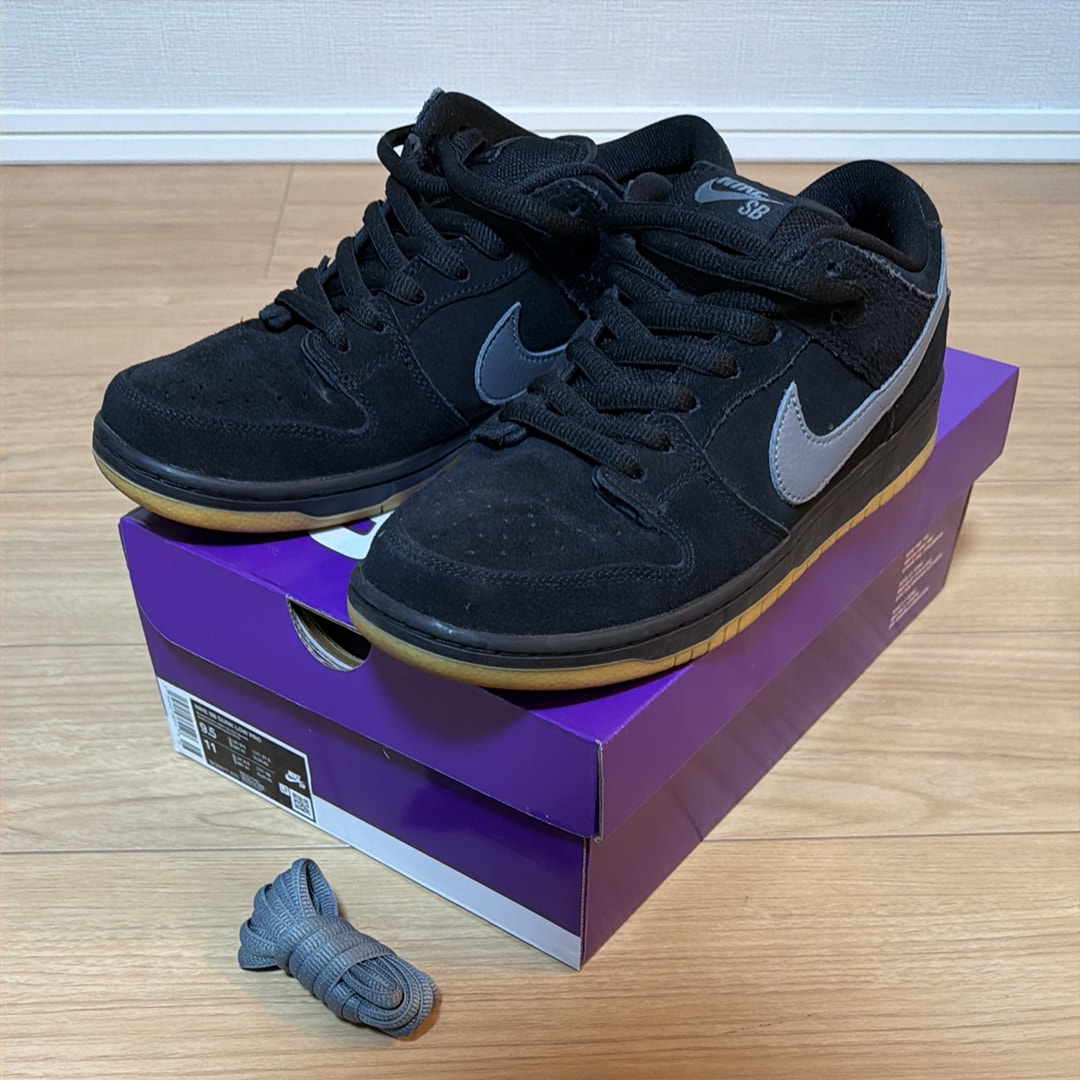 Nike SB Dunk Low Pro 