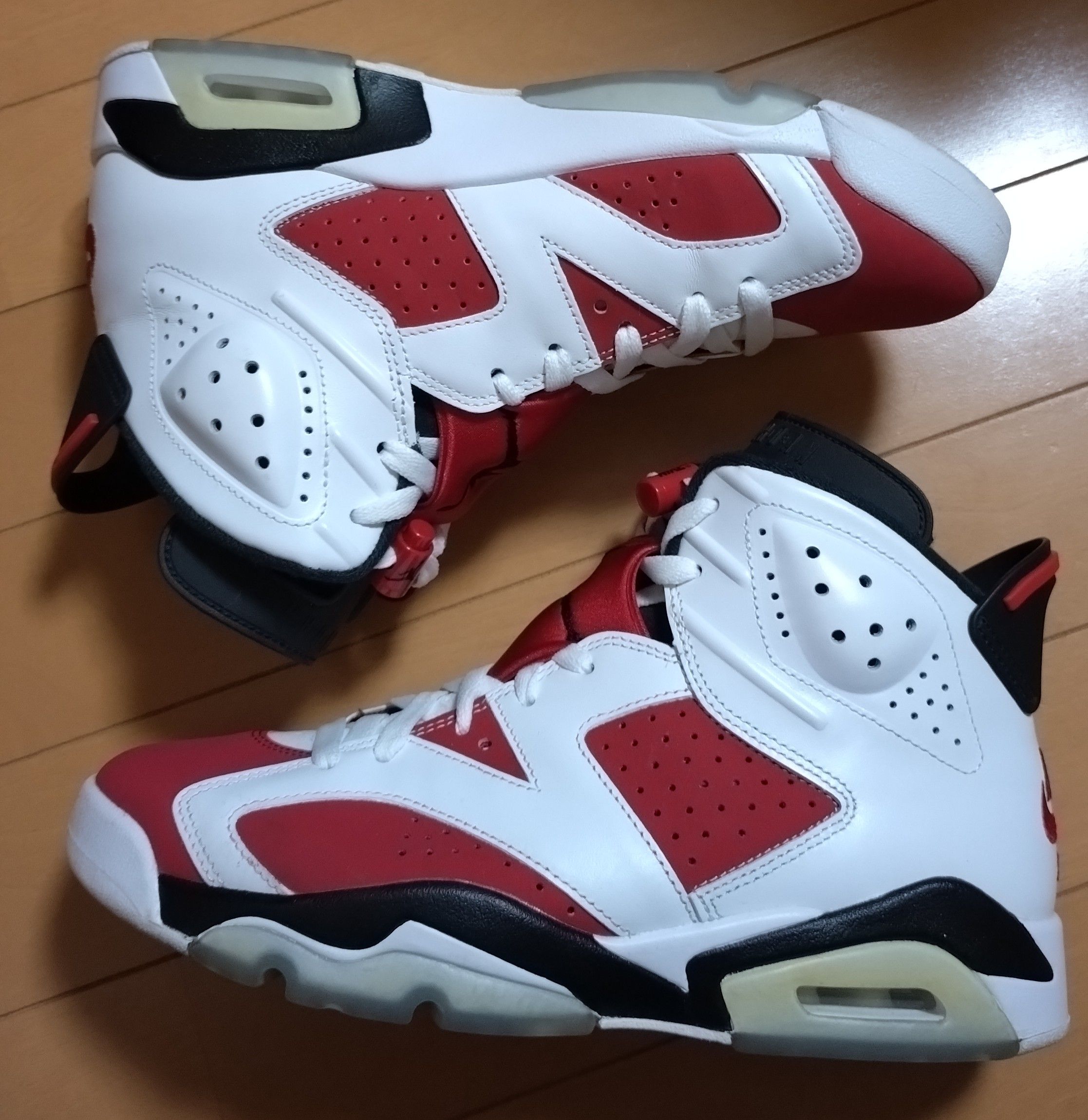 Nike Air Jordan 6 "Carmine" (2021)