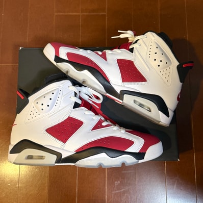Nike Air Jordan 6 "Carmine" (2021)