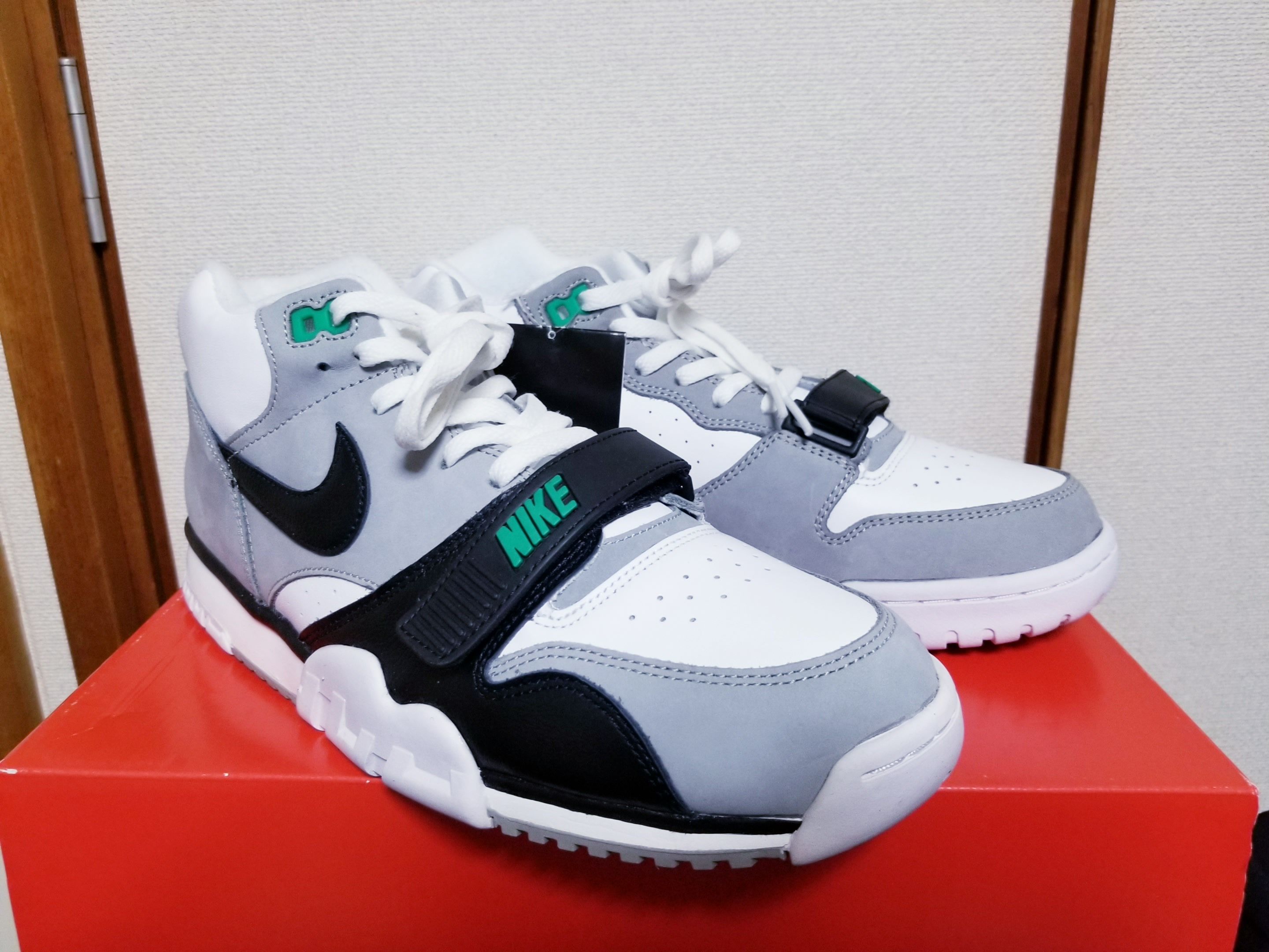 Nike Air Trainer 1 "Chlorophyll"