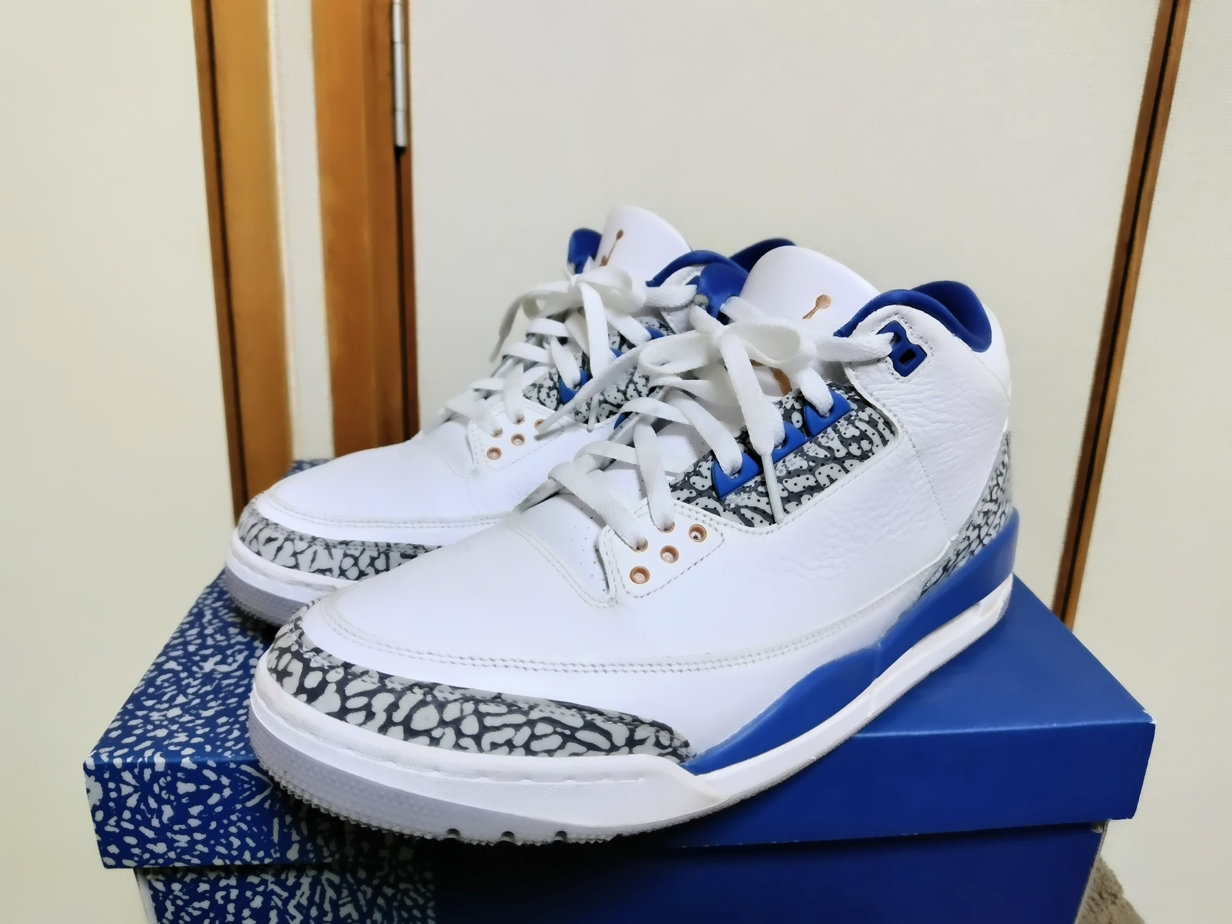 Nike Air Jordan 3 Retro "True Blue and Copper"