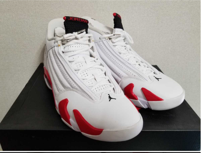NIKE AIR JORDAN 14 RIP HAMILTON