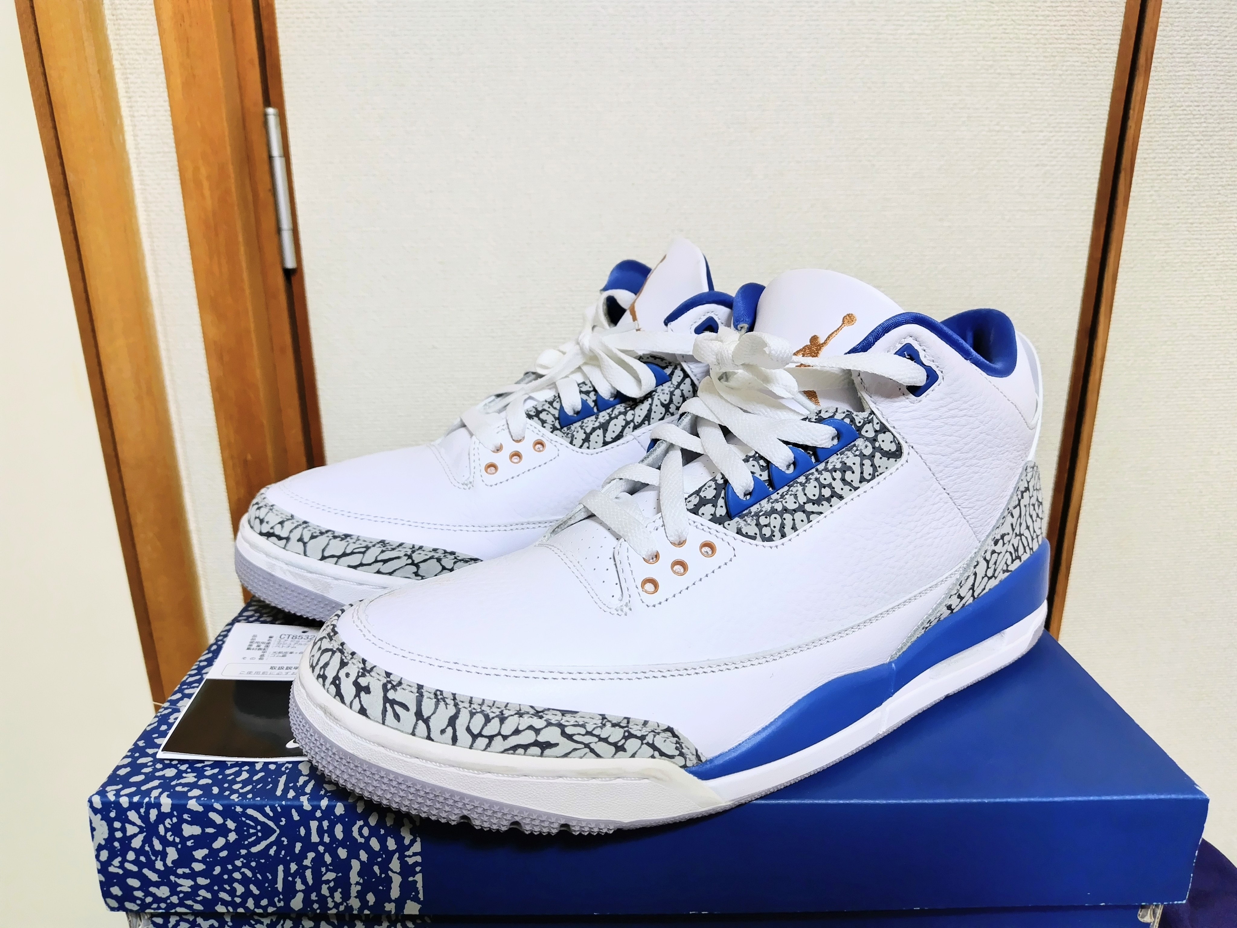 Nike Air Jordan 3 Retro "True Blue and Copper"