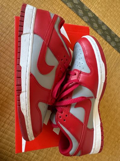 Nike Dunk Low "Medium Grey" (UNLV)