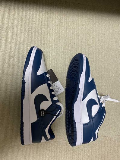 Nike Dunk Low "Valerian Blue"