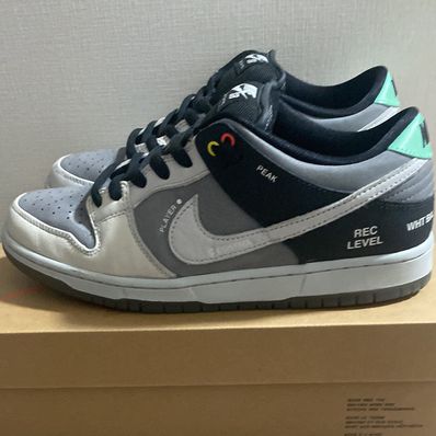 Nike SB Dunk Low Pro "VX1000 Camcorder"