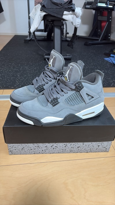 Nike Air Jordan 4 "Cool Grey"