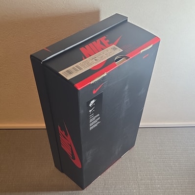 Nike GS Air Jordan 1 High OG "co.jp/Tokyo"