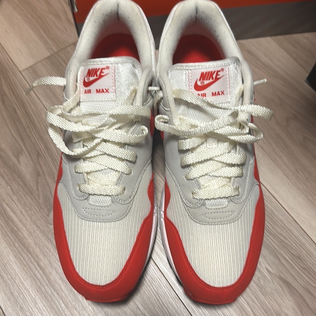 Nike Air Max 1 "Anniversary Red" (2017)