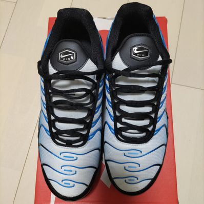 Nike Air Max Plus "Shade of Blue"