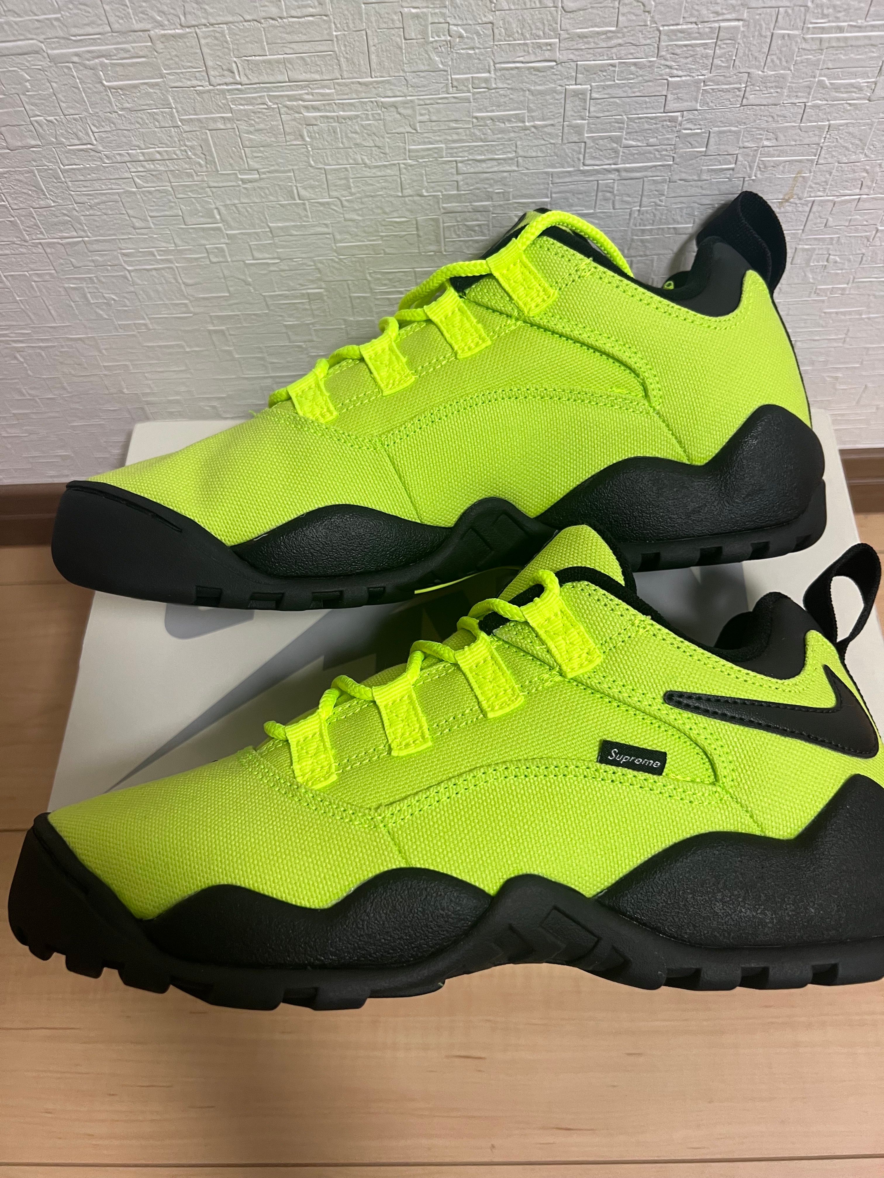 Supreme × Nike SB Darwin Low "Green"