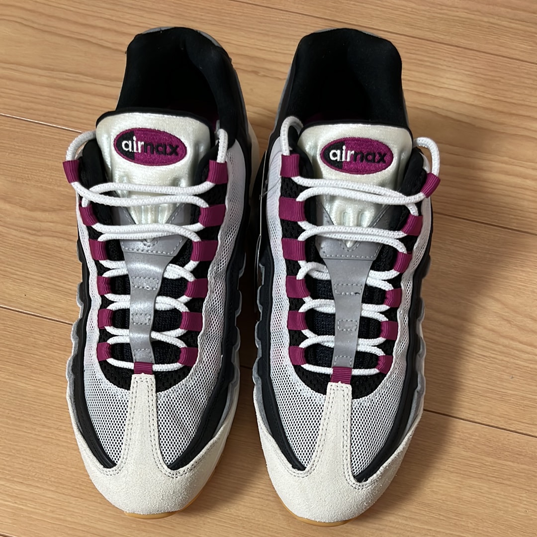 Nike SB Air Max 95 "Summit White/Cactus Flower"