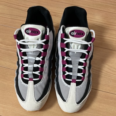 Nike SB Air Max 95 "Summit White/Cactus Flower"