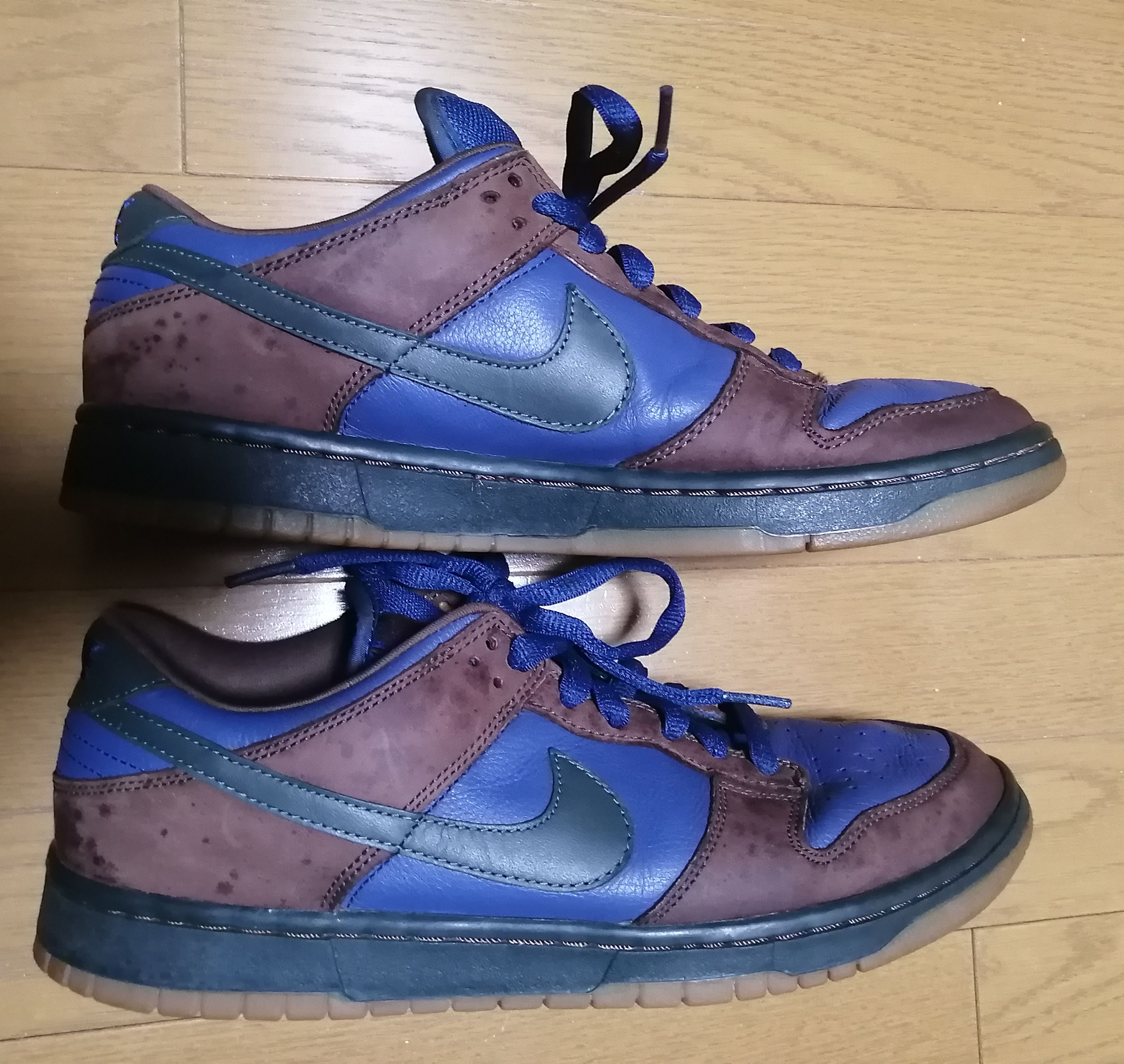 Nike SB Dunk Low "Barf"