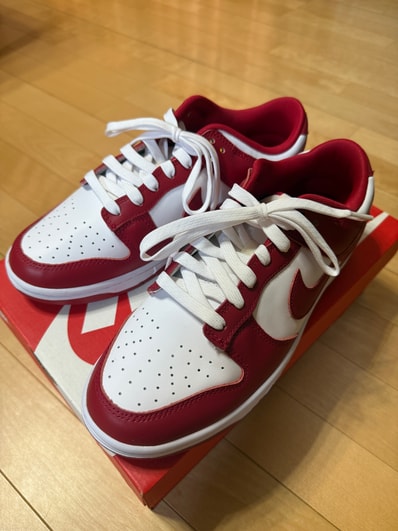 Nike Dunk Low "Gym Red"