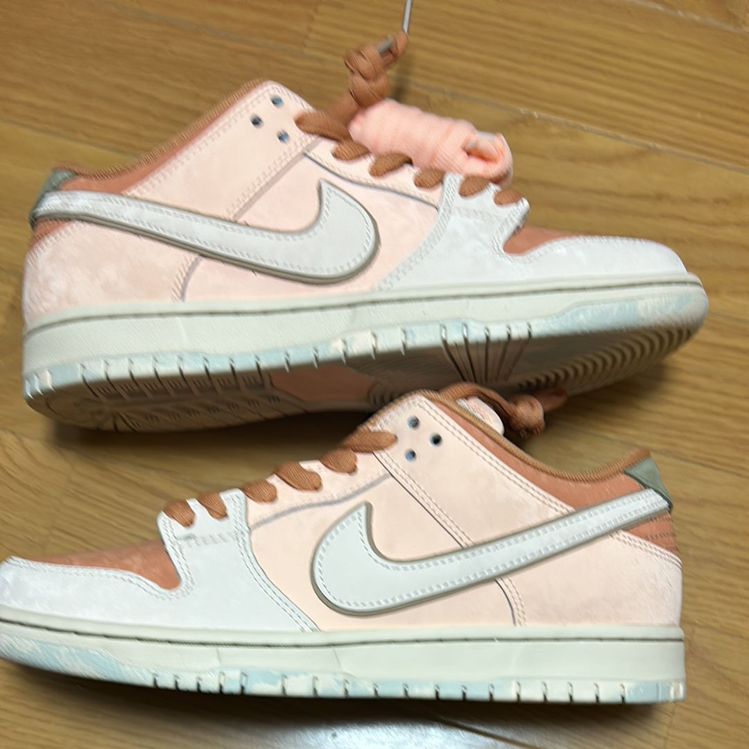 Nike SB Dunk Low Pro PRM "Crimson Tint and Amber Brown/Trocadero Gardens"