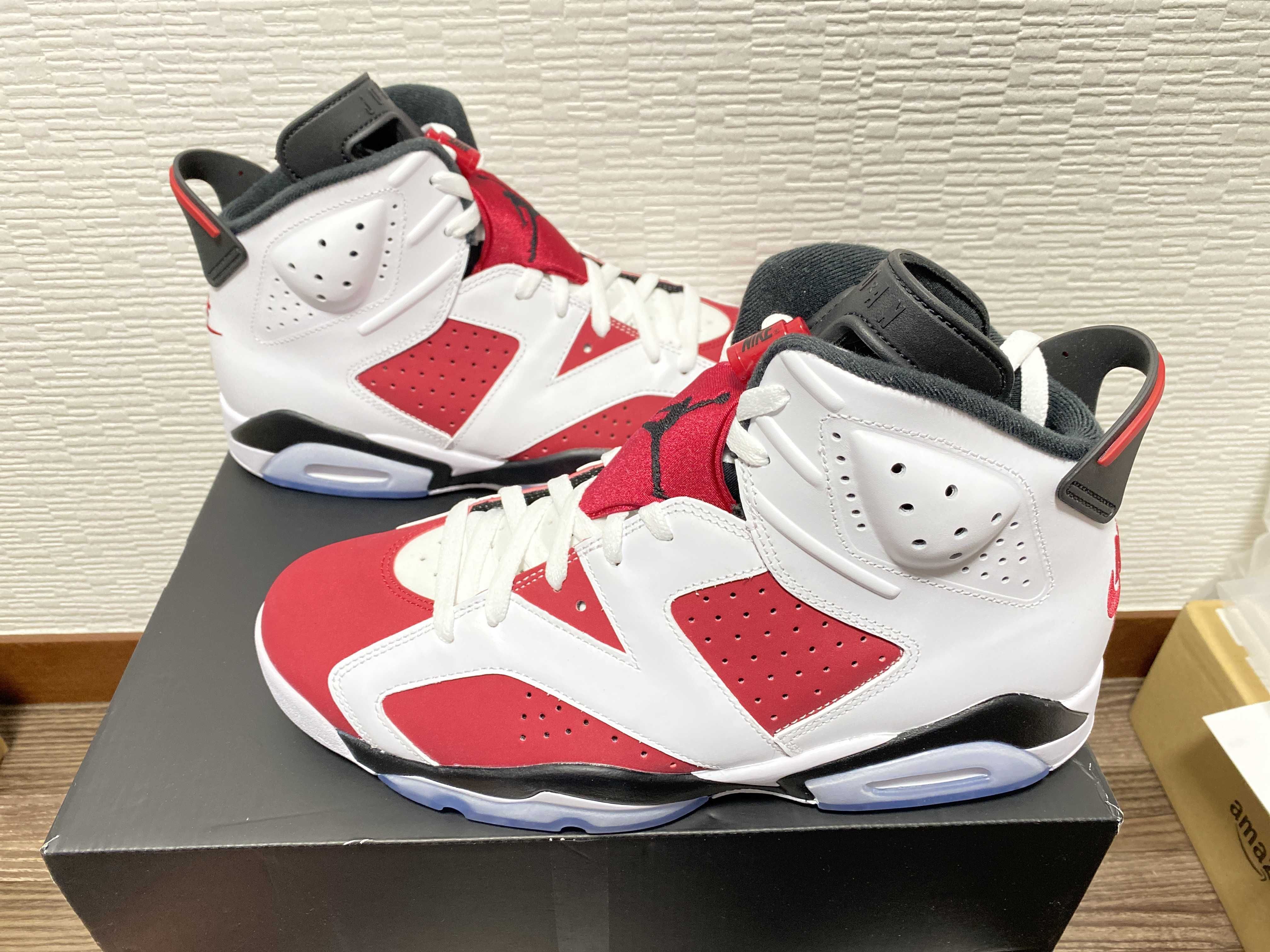 Nike Air Jordan 6 "Carmine" (2021)