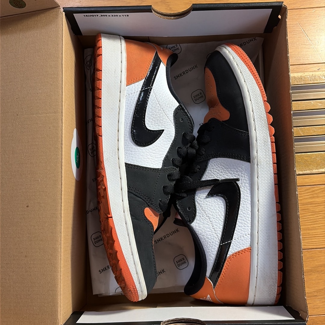 Nike Air Jordan 1 Low Golf "Shattered Backbords"