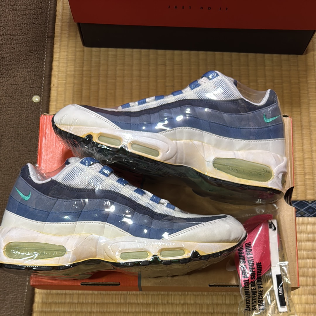 Nike Air Max 95 "Blue Gradation" (2005)