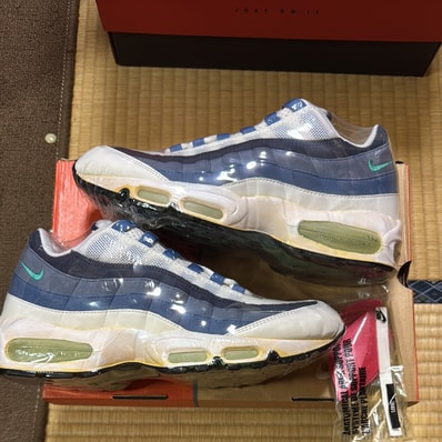 Nike Air Max 95 "Blue Gradation" (2005)