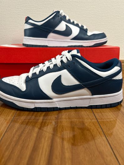 Nike Dunk Low "Valerian Blue"
