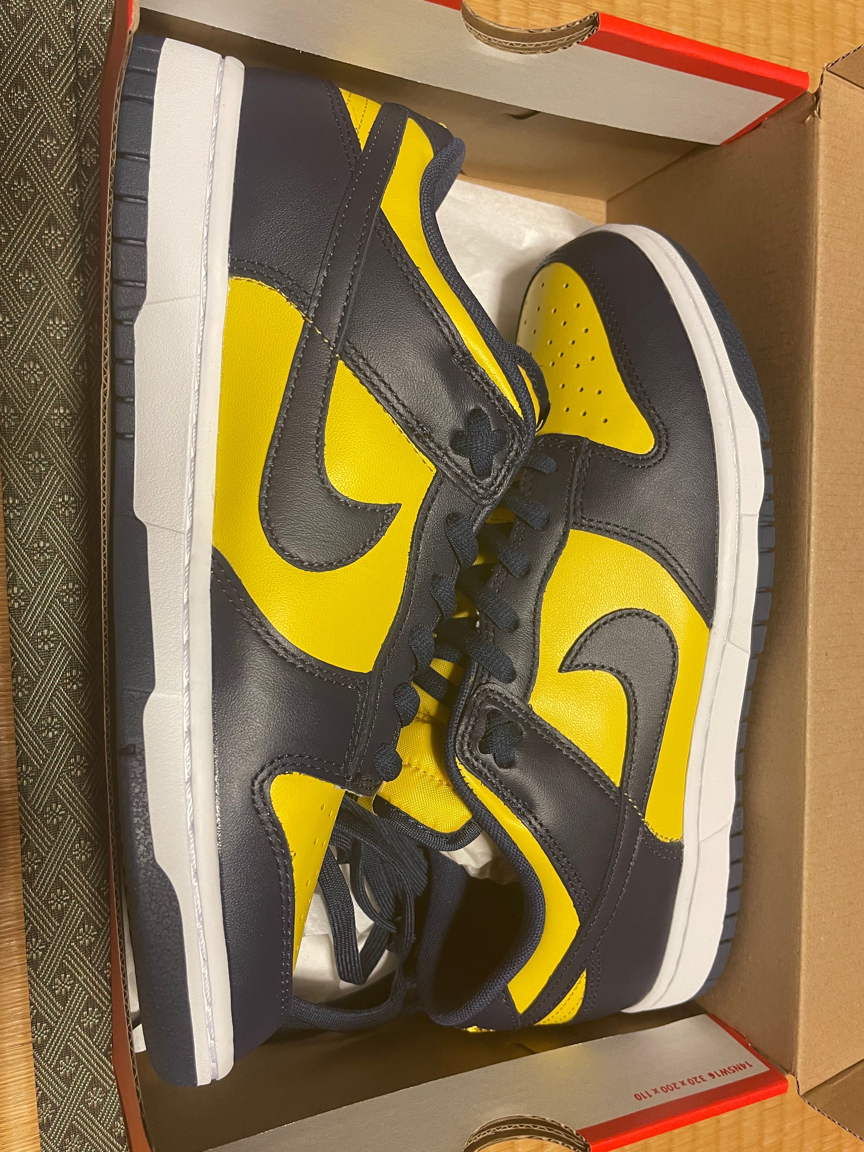 Nike Dunk Low "Michigan"